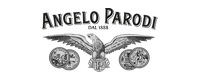 Logo Angelo Parodi